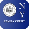 NY Family Court 2017
