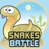 Snakes Battle Game