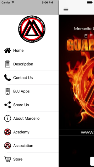 BJJ Effective Guard Passes - Brazilian Jiu Jitsu(圖2)-速報App
