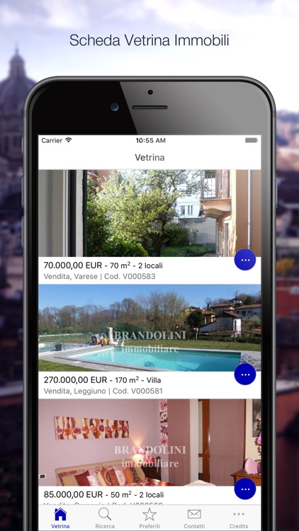 Lorella Brandolini Immobiliare