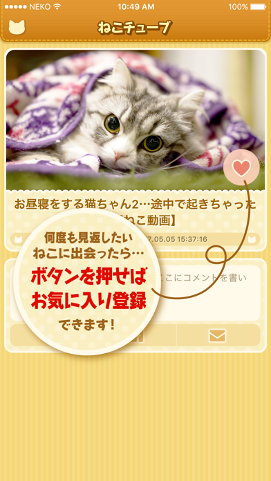 ねこチューブ 〜YouTubeのネコ動画だけ観られるアプリ〜のおすすめ画像3