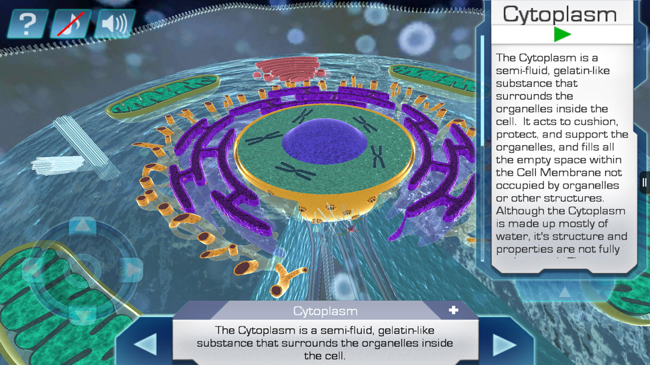 Cell World