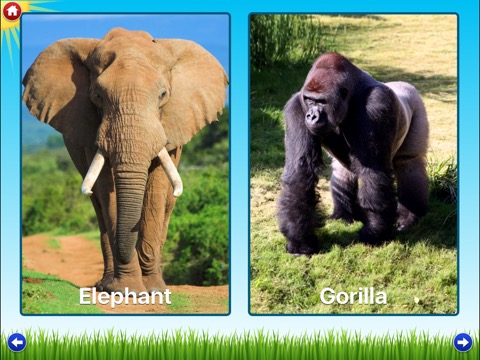 Zoo Sounds Lite - A Fun Animal Sound Game for Kidsのおすすめ画像1