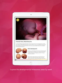 Game screenshot Pregnancy: Life in the Womb hack