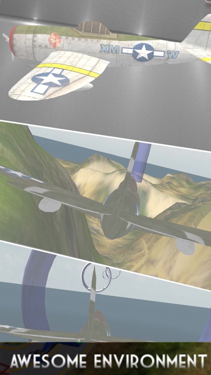 Flight Airplane Control