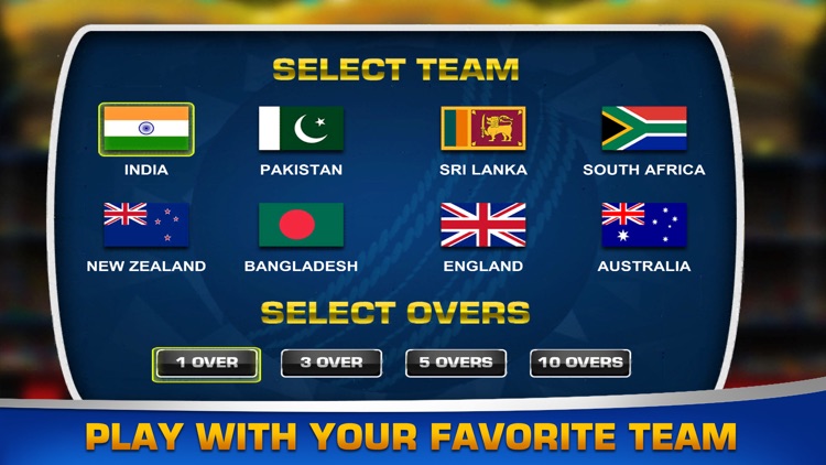 Bash Cricket Champions 2017 screenshot-3