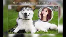 Game screenshot InstaMag - Cute Pet Camera hack
