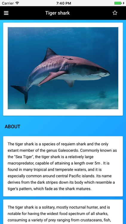 Shark Species: Hunters of the Deep