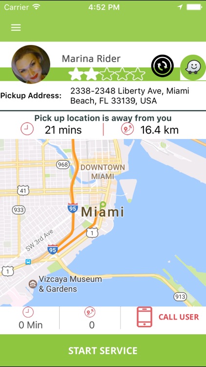 Pikk Driver screenshot-3