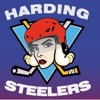 Harding Steelers