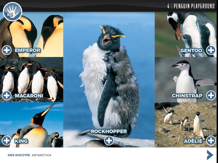 Antarctica by KIDS DISCOVER screenshot-3