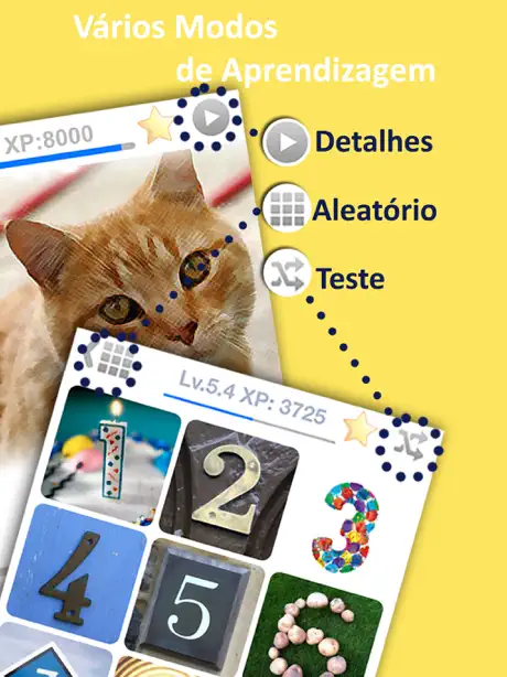 Aprender letão com aulas de línguas bebê