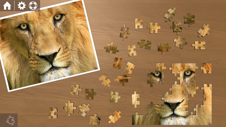 Ravensburger Puzzle - the jigsaw collection