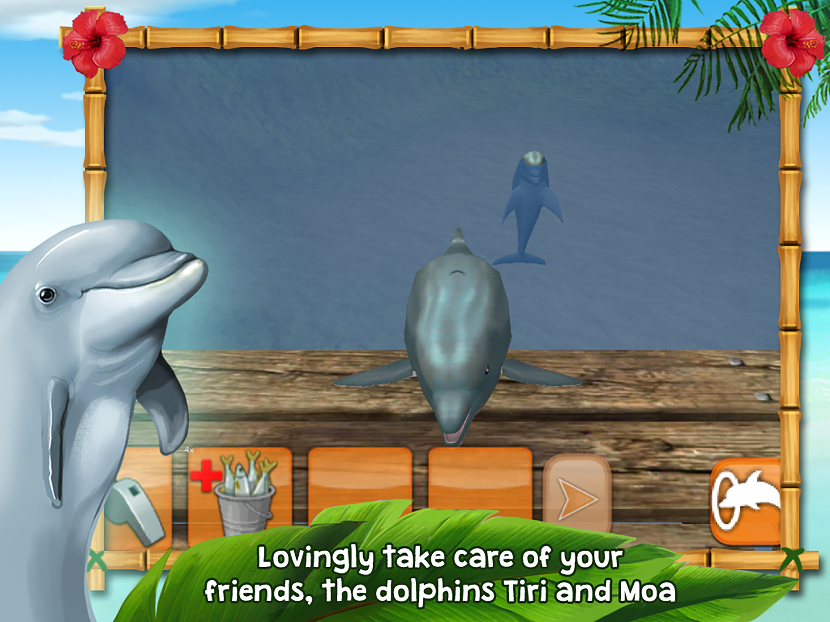 Dolphins of the Caribbean