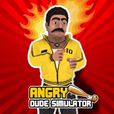 Activities of Angry Dude Simulator