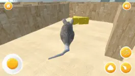 Game screenshot Mouse Escape - 3D Labyrinth Maze hack