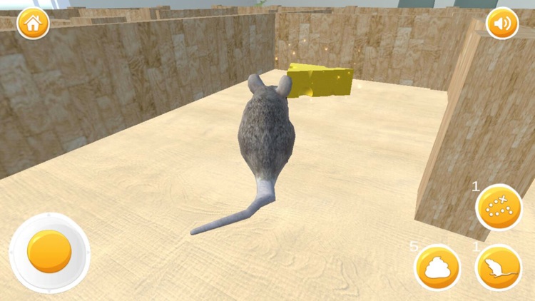 Mouse Escape - 3D Labyrinth Maze