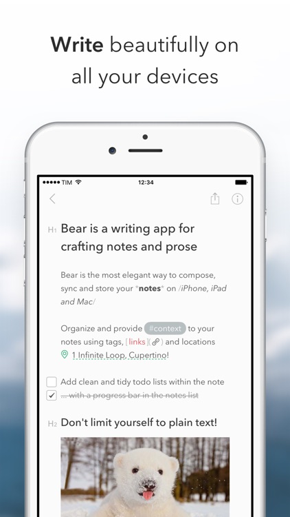 Bear screenshot-0