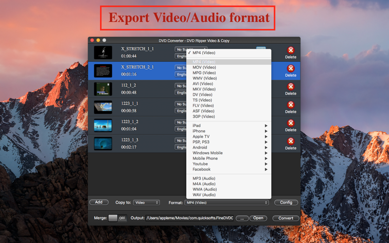 DVD Ripper Pro - Video ISO Business Ipad Apple Iphone Ipad