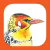 EGuide to Birds of East Africa App Feedback