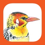 Download EGuide to Birds of East Africa app