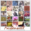 Farbenwelt-Fotos