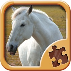 Activities of Horse Puzzle Games - Amazing Logic Puzzles