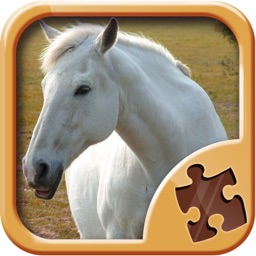 Puzzles de Chevaux - Jeux de Logique Amusant