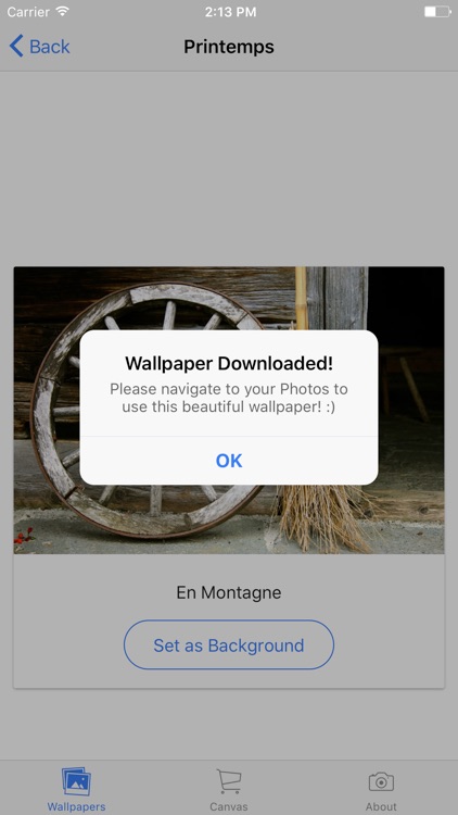 Mademoiselle La Photographe Wallpaper screenshot-4