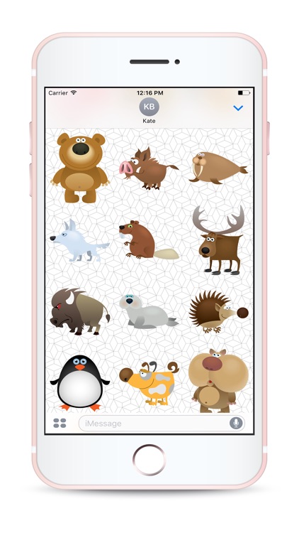 Cute Crazy Animals