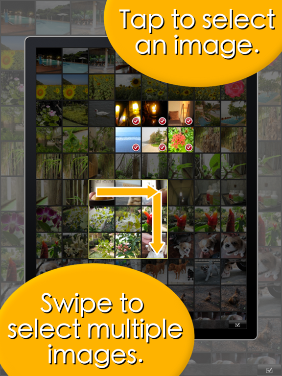 Slideshow 3D Lite iPad screenshot 4 - Photo & Video app