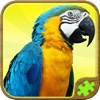 Animal Puzzle Games - Fun Jigsaw Puzzles