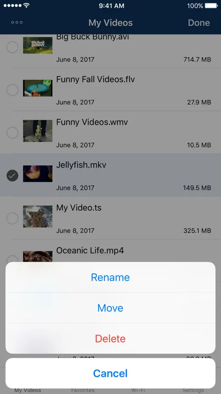 AVPlayer for iPhone screenshot 2 of 5