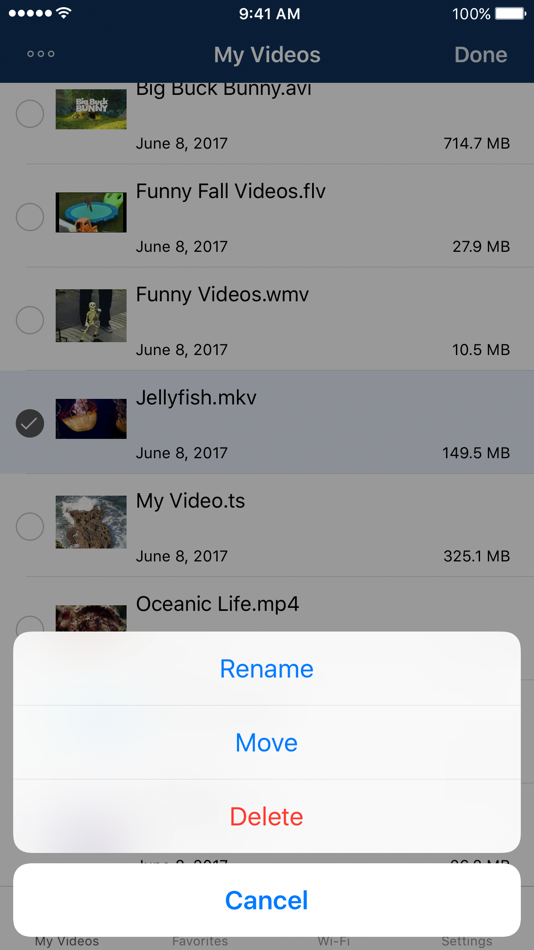 #2. AVPlayer for iPhone (iOS) Podle: Sergej Kachalo
