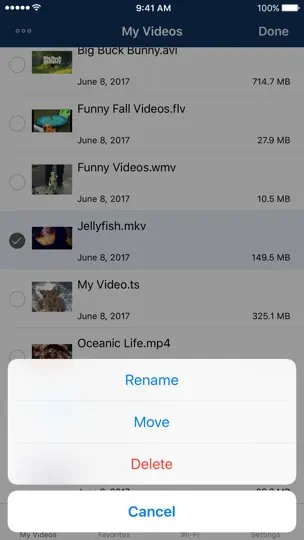 AVPlayer For IPhone iPhone Ekran Görüntüsü 2