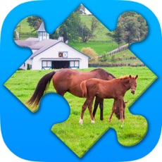 Activities of Farm Puzzles. New jigsaw puzzles