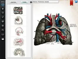 Game screenshot Grays Anatomy Premium for iPad apk