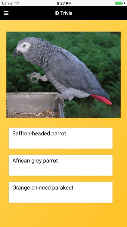 Parrot Species Bible screenshot-3