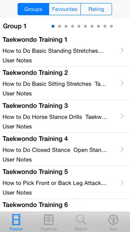 Game screenshot Taekwondo Training apk