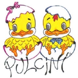 Pulcini