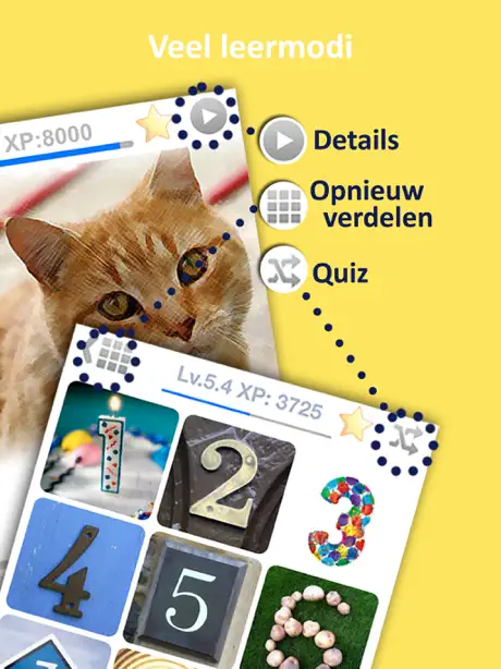 Deens leren met cursussen voor baby