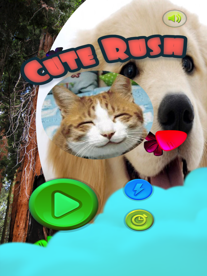 Super Cute Pet Touch超可爱宠物摸