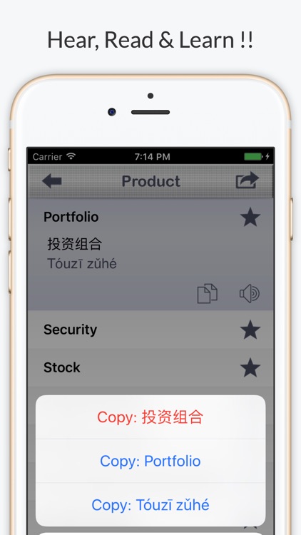 Financial Chinese Pro - Phrases & Vocabulary screenshot-3