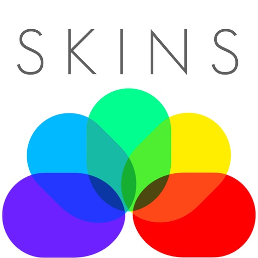 Icon Skins ™ icon