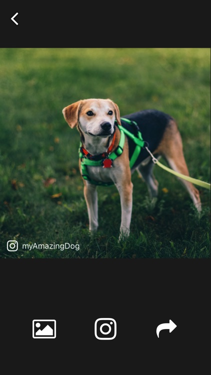 WM : Add Watermark to Your Photos screenshot-4