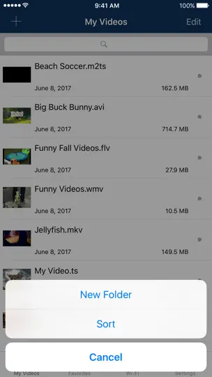 AVPlayer For IPhone iPhone Ekran Görüntüsü 1