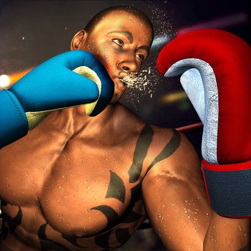 Real Boxer Combat Game: Knockout Boxing Champion icon