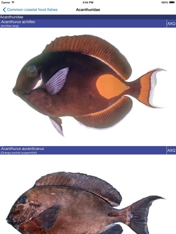 Screenshot #5 pour PacFishID