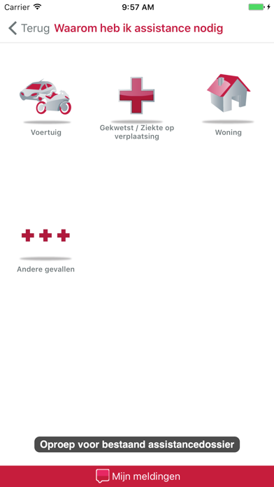 Screenshot #2 pour Piette & Partners Bijstand