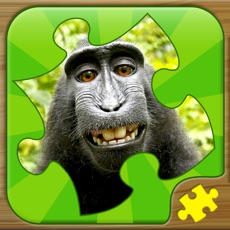 Activities of Fun Puzzle Games